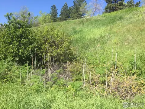 85 Bellevue Dr, Boulder, CO 80302 photo 2