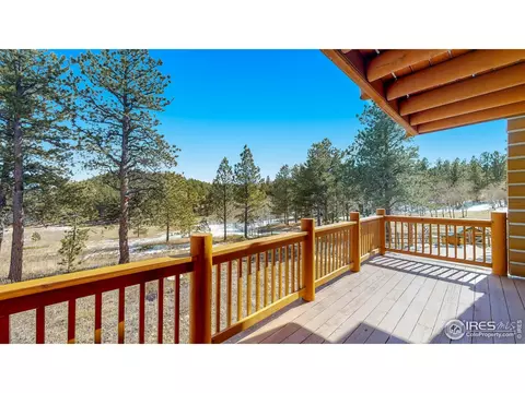 87 Big John Rd, Allenspark, CO 80510 photo 5