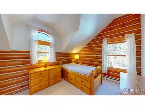 87 Big John Rd, Allenspark, CO 80510 photo 21