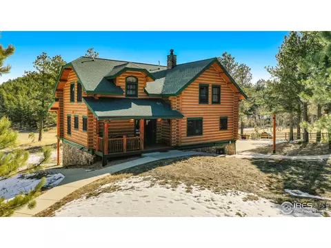 87 Big John Rd, Allenspark, CO 80510 photo 23