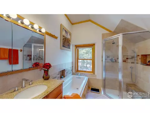87 Big John Rd, Allenspark, CO 80510 photo 13