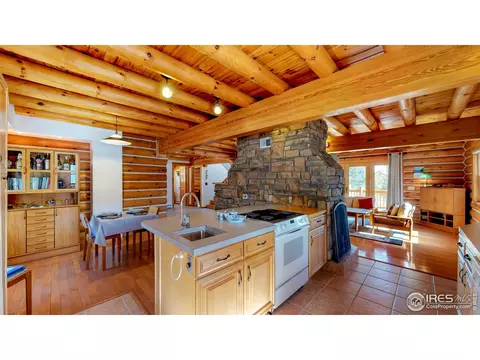 87 Big John Rd, Allenspark, CO 80510 photo 10