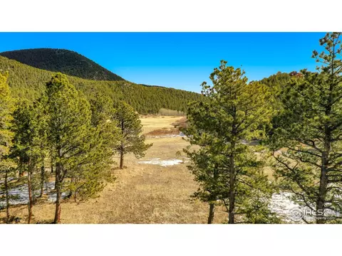 87 Big John Rd, Allenspark, CO 80510 photo 35