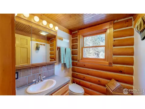 87 Big John Rd, Allenspark, CO 80510 photo 18