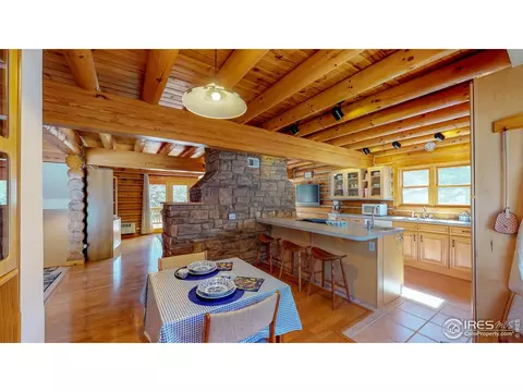 87 Big John Rd, Allenspark, CO 80510 photo 8