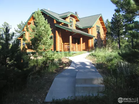 87 Big John Rd, Allenspark, CO 80510 photo 1