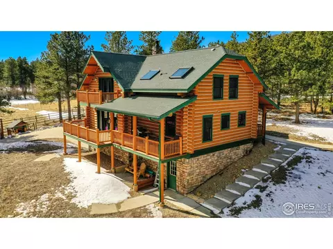 87 Big John Rd, Allenspark, CO 80510 photo 25