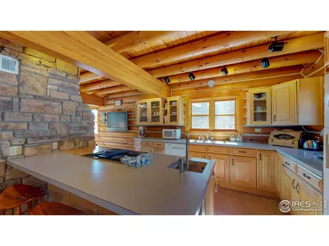 87 Big John Rd, Allenspark, CO 80510 photo 9