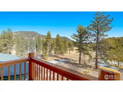 87 Big John Rd, Allenspark, CO 80510 photo 38