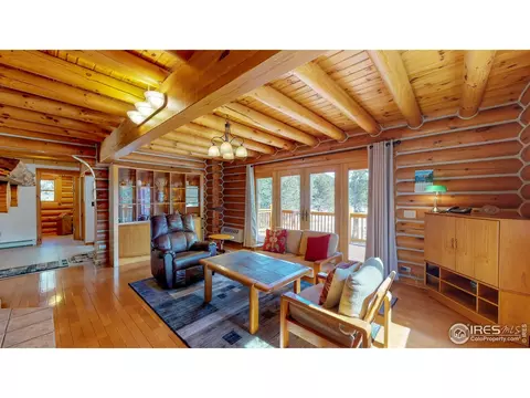 87 Big John Rd, Allenspark, CO 80510 photo 4