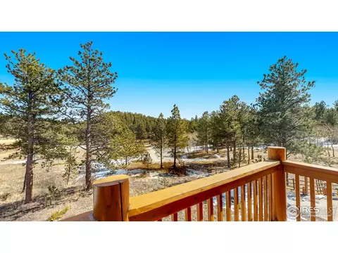 87 Big John Rd, Allenspark, CO 80510 photo 31