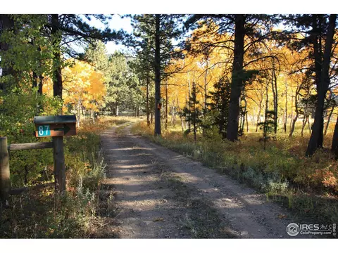 87 Big John Rd, Allenspark, CO 80510 photo 34