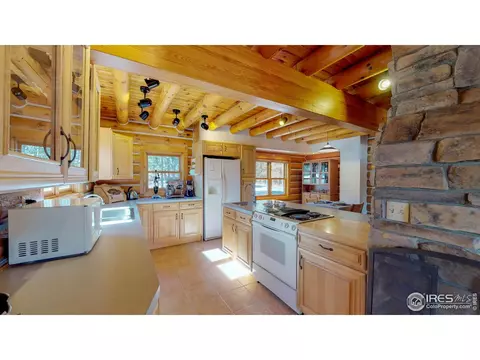 87 Big John Rd, Allenspark, CO 80510 photo 11
