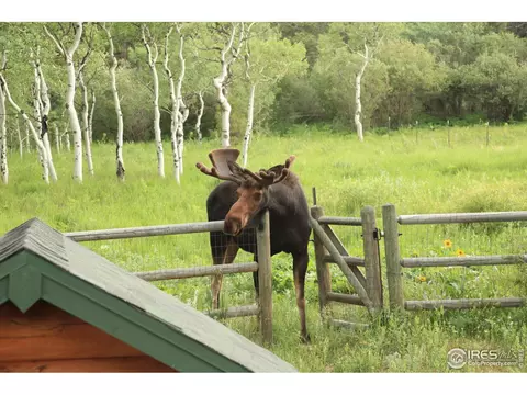 87 Big John Rd, Allenspark, CO 80510 photo 29