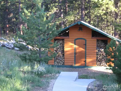 87 Big John Rd, Allenspark, CO 80510 photo 30