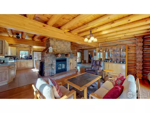 87 Big John Rd, Allenspark, CO 80510 photo 3