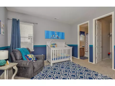 5702 Aksarben Dr, Windsor, CO 80550 photo 29