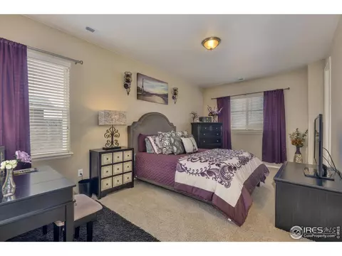 5702 Aksarben Dr, Windsor, CO 80550 photo 33