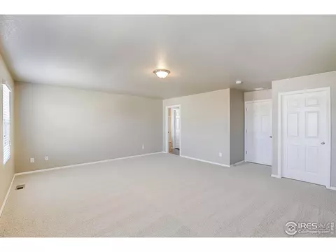 927 Keneally Ct, Windsor, CO 80550 photo 21
