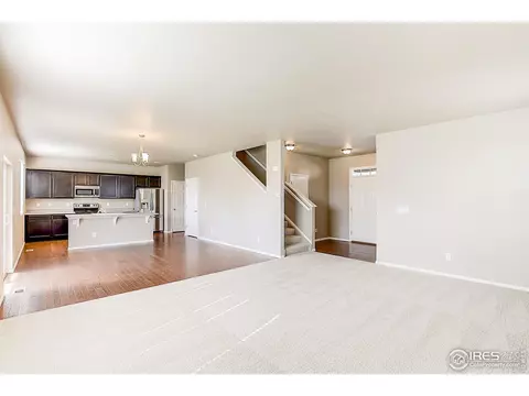 927 Keneally Ct, Windsor, CO 80550 photo 4