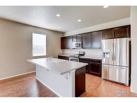 927 Keneally Ct, Windsor, CO 80550 photo 11