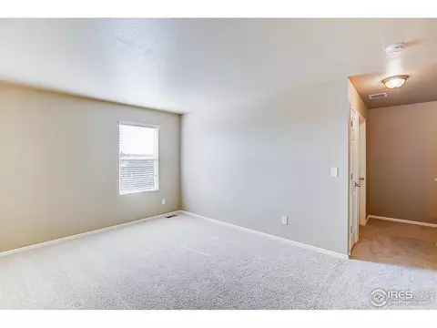 927 Keneally Ct, Windsor, CO 80550 photo 20