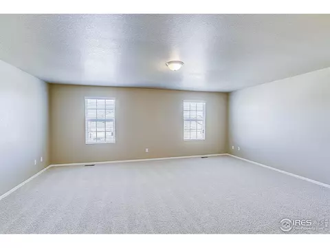 927 Keneally Ct, Windsor, CO 80550 photo 18