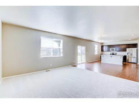927 Keneally Ct, Windsor, CO 80550 photo 5