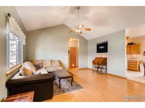 1023 Valley Dr, Windsor, CO 80550 photo 6
