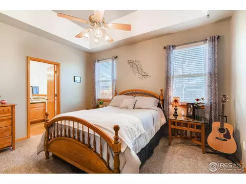 1023 Valley Dr, Windsor, CO 80550 photo 14