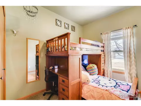 1023 Valley Dr, Windsor, CO 80550 photo 19