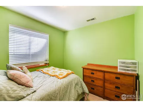 1023 Valley Dr, Windsor, CO 80550 photo 23