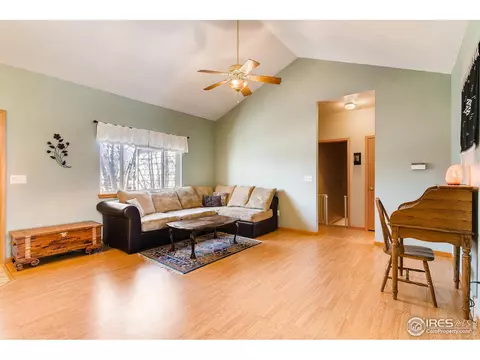 1023 Valley Dr, Windsor, CO 80550 photo 4