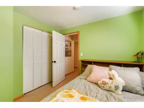 1023 Valley Dr, Windsor, CO 80550 photo 22