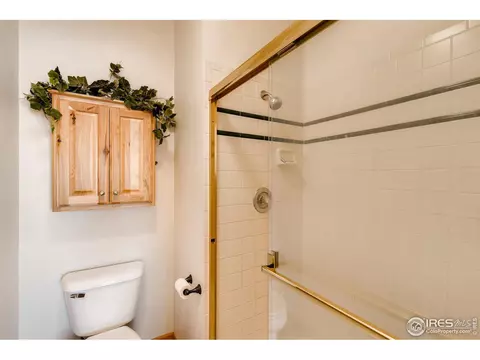 1023 Valley Dr, Windsor, CO 80550 photo 18