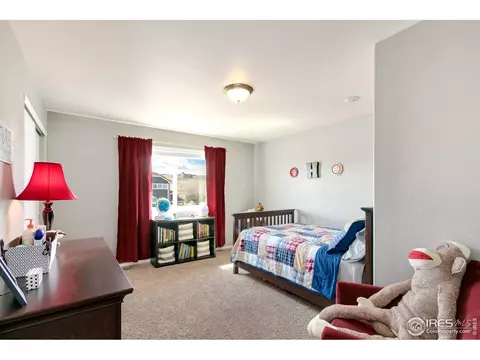 115 Kitty Hawk Dr, Windsor, CO 80550 photo 12