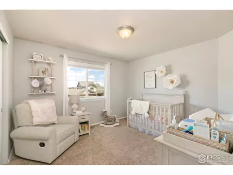 115 Kitty Hawk Dr, Windsor, CO 80550 photo 13