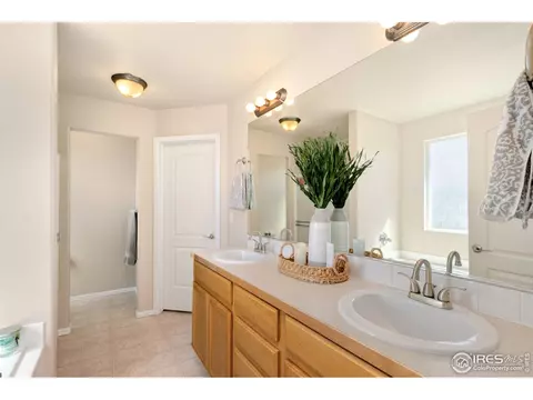 115 Kitty Hawk Dr, Windsor, CO 80550 photo 11