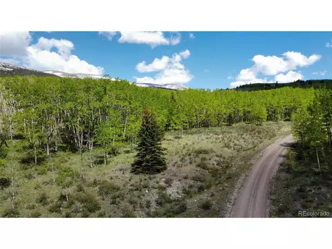 63 Pine Ridge Rd, Fairplay, CO 80440