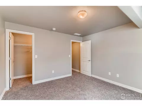 5644 Bexley Dr, Windsor, CO 80550 photo 26