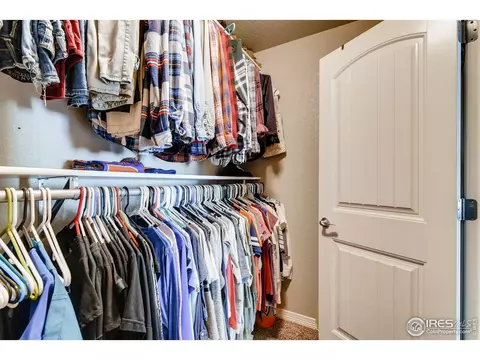 5644 Bexley Dr, Windsor, CO 80550 photo 22