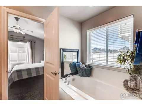 5644 Bexley Dr, Windsor, CO 80550 photo 19