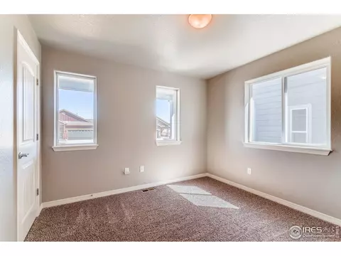 5644 Bexley Dr, Windsor, CO 80550 photo 23