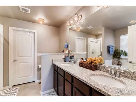 5644 Bexley Dr, Windsor, CO 80550 photo 21
