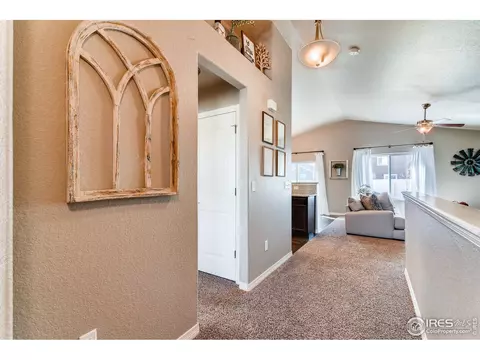 5644 Bexley Dr, Windsor, CO 80550 photo 9