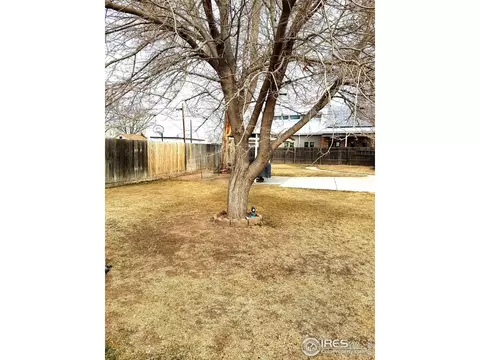701 Birch St, Gilcrest, CO 80623 photo 22