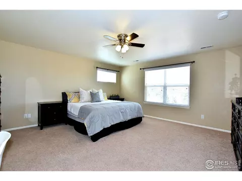 554 Edenbridge Dr, Windsor, CO 80550 photo 19