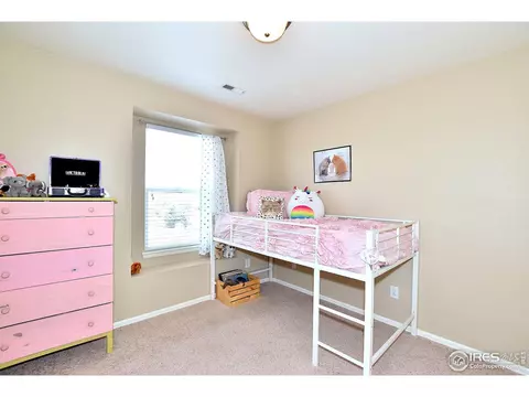 554 Edenbridge Dr, Windsor, CO 80550 photo 25