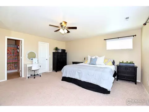 554 Edenbridge Dr, Windsor, CO 80550 photo 20