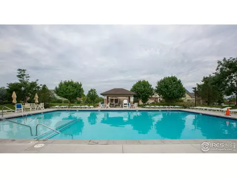 554 Edenbridge Dr, Windsor, CO 80550 photo 38